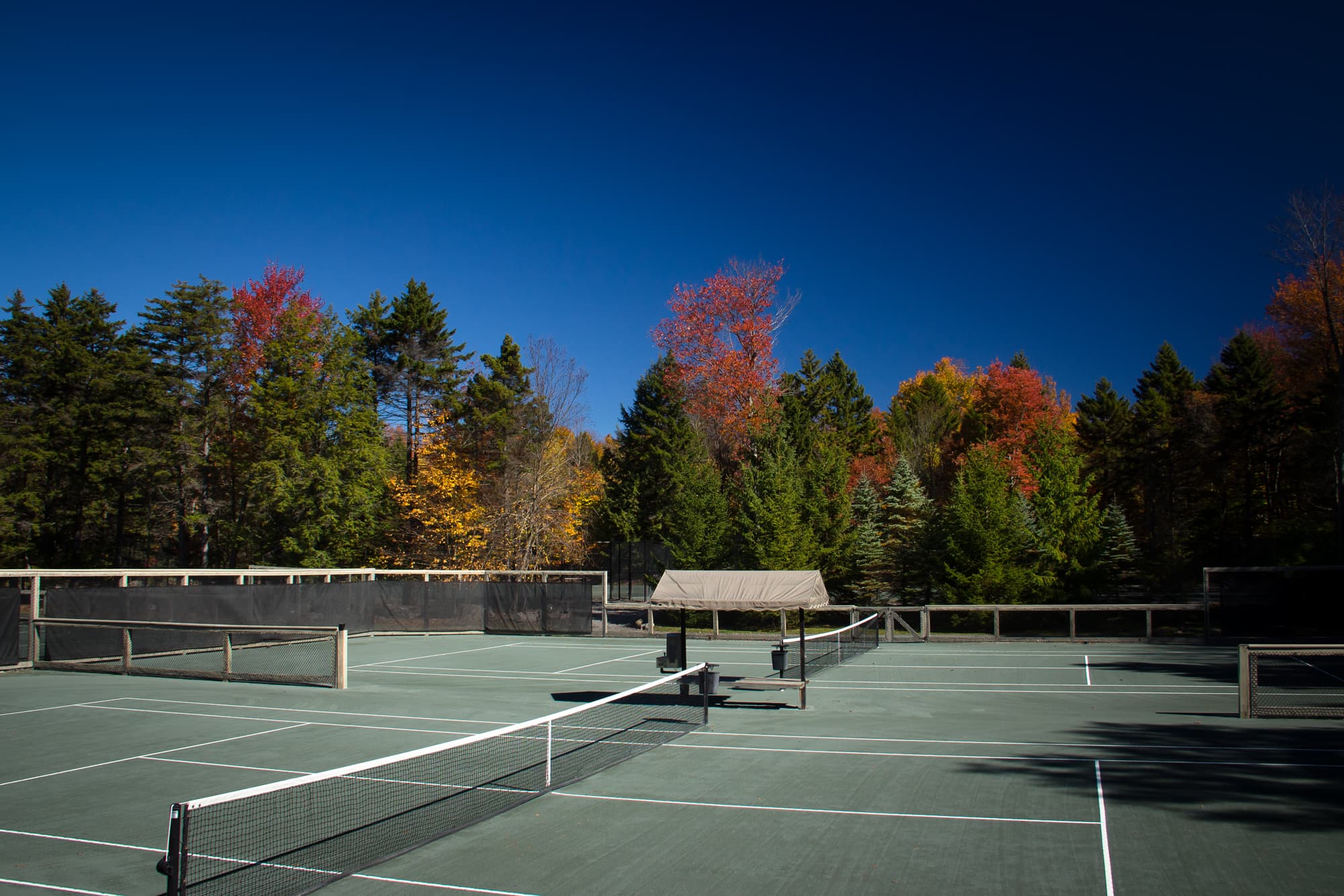 A tennis court surrounded by colorful autumn trees against a clear blue sky.