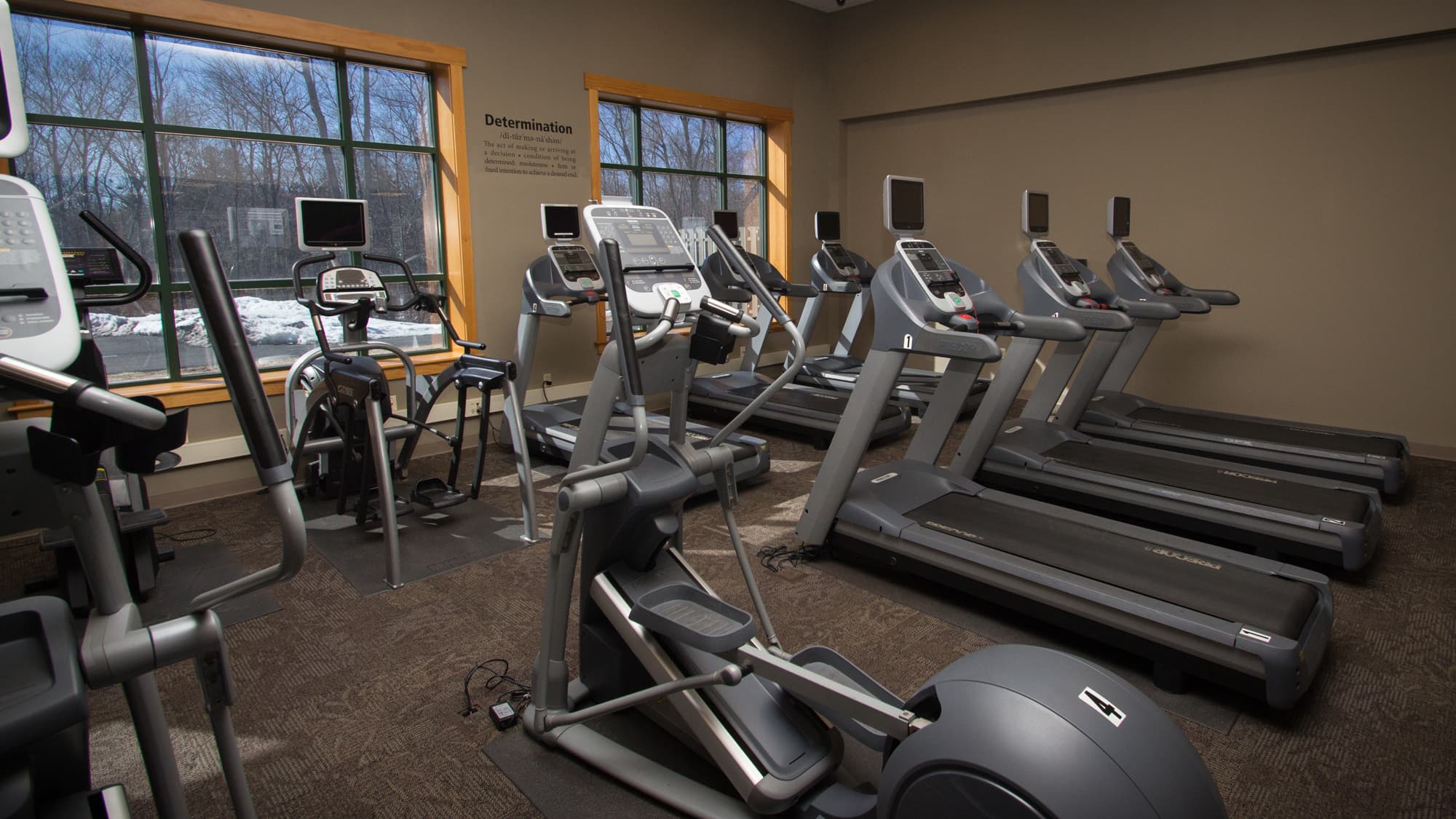 A gym featuring multiple treadmills and exercise equipment with large windows in the background.