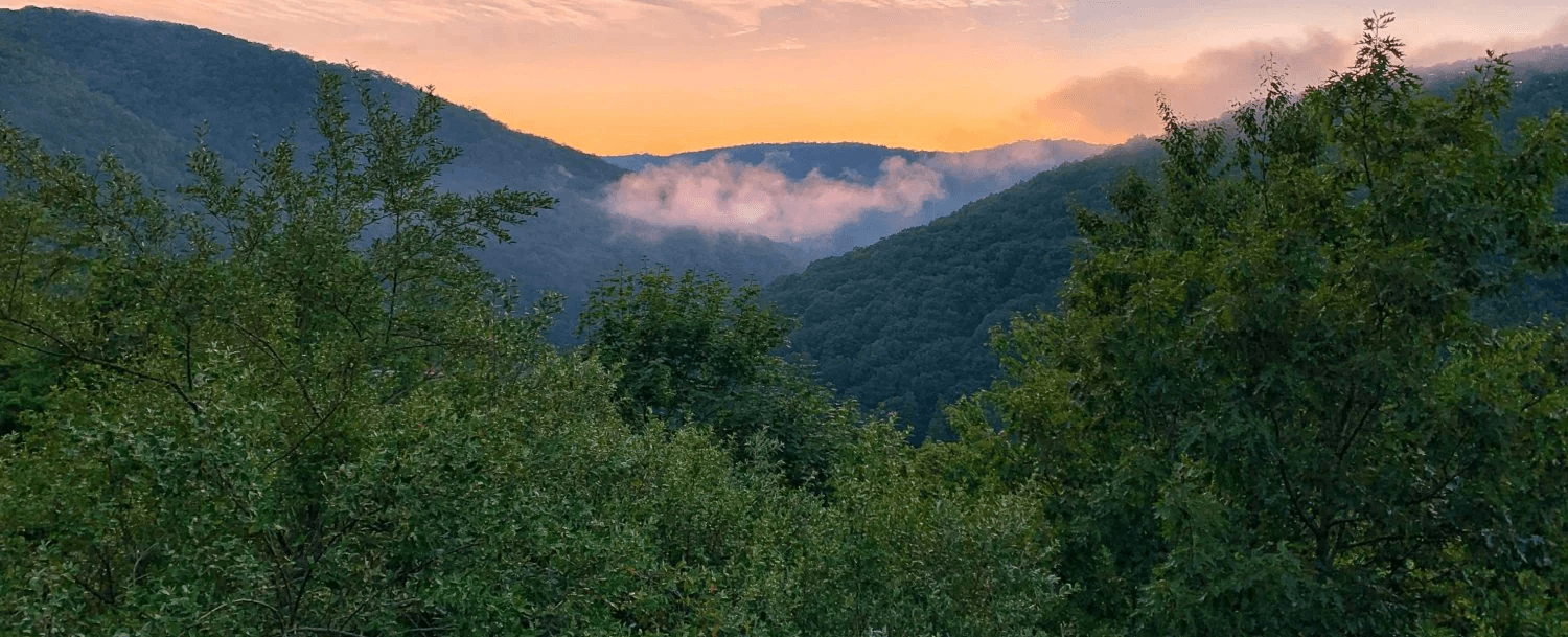 A peaceful sunset over misty mountains lined with lush greenery. A peaceful sunset over misty mountains lined with lush greenery.