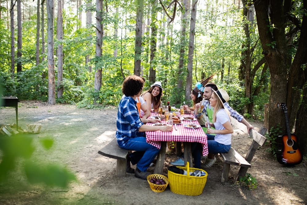 A group of friends enjoys a picnic at a table in a lush, green forest.