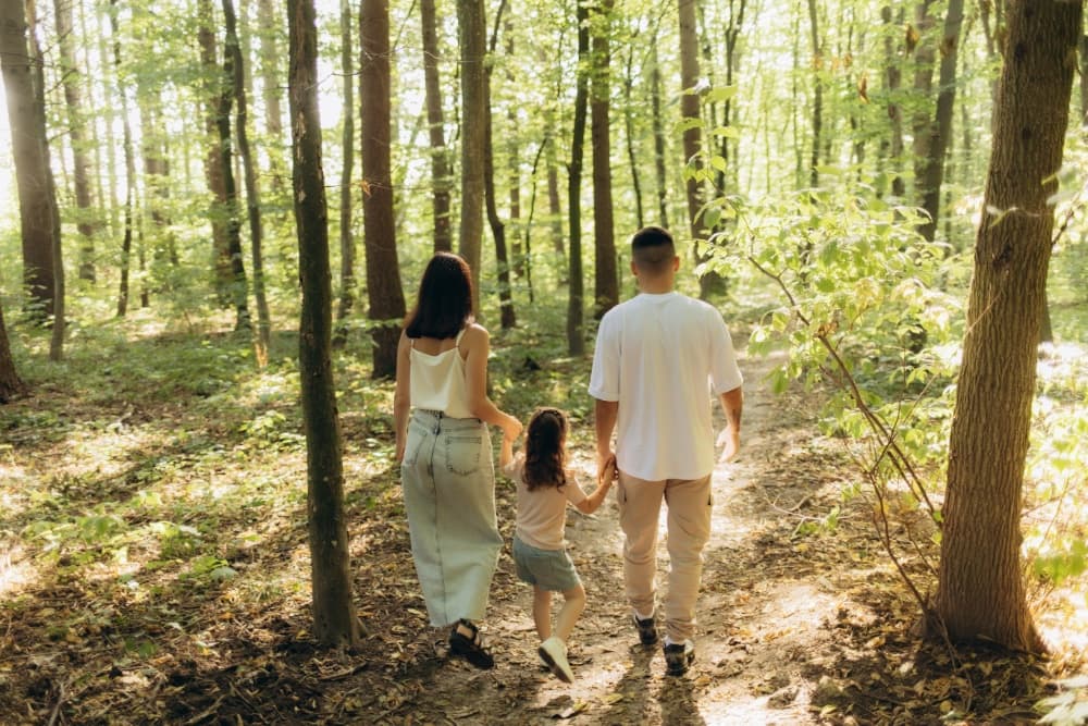 A family walks hand-in-hand along a sunlit trail in a wooded area.
