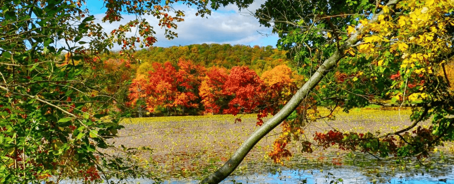 Vibrant autumn foliage reflected in a serene lake surrounded by trees.