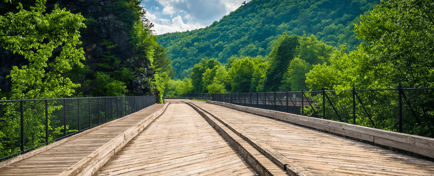 Wooden pathway leading through lush green trees with mountains in the background.