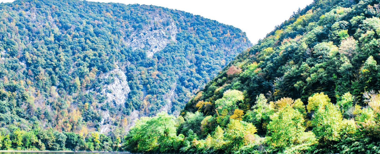 A scenic view of lush, rolling hills adorned with colorful autumn foliage and a tranquil body of water. A scenic view of lush, rolling hills adorned with colorful autumn foliage and a tranquil body of water.