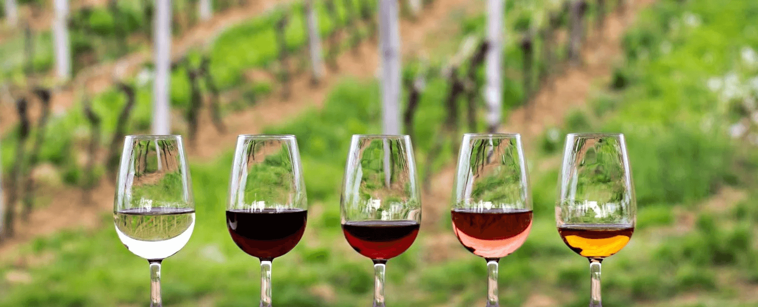 Five wine glasses filled with different varieties of wine, set against a backdrop of lush green vineyards.