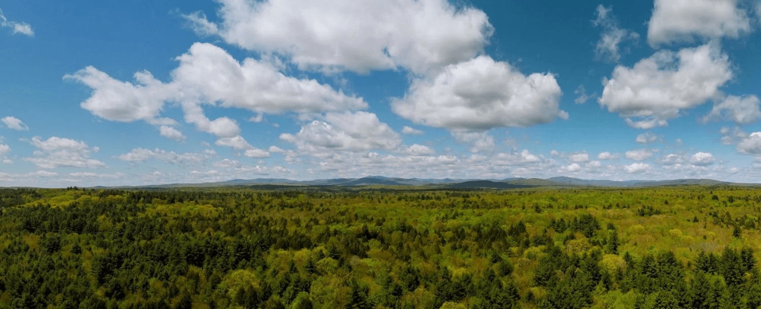 A panoramic view of lush green forests under a blue sky with scattered clouds. A panoramic view of lush green forests under a blue sky with scattered clouds.