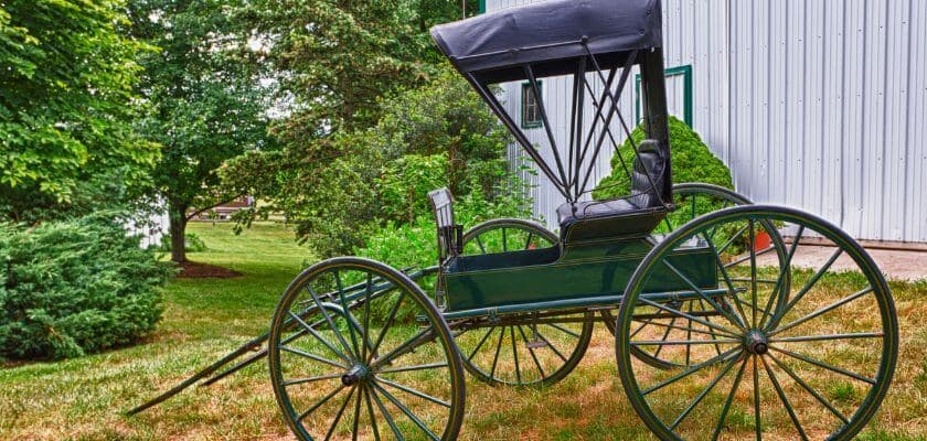horse buggy parked in the grass on a farm