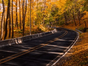Winding road