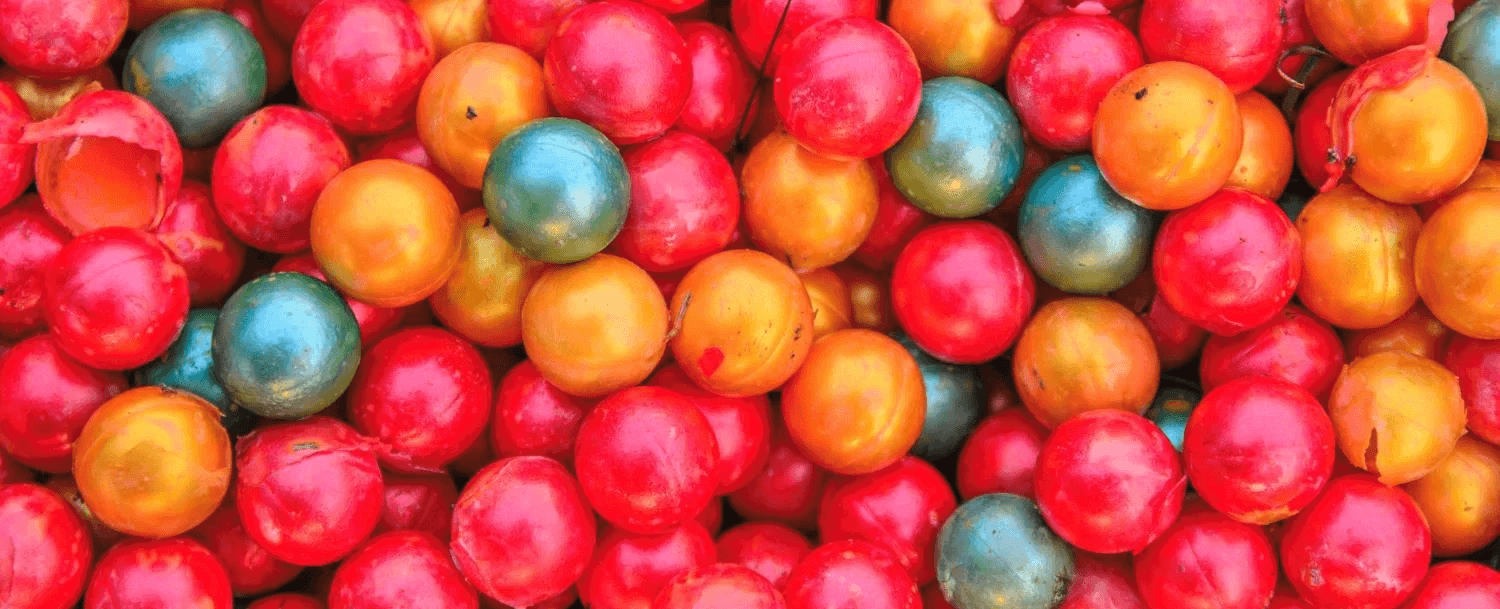 Paintball in the Poconos