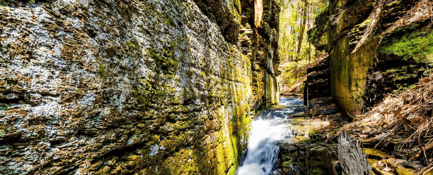 Dingmans Falls Trail